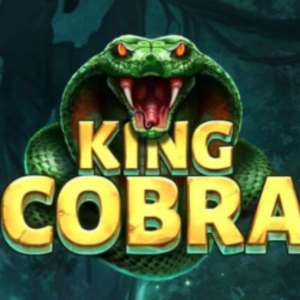 King Cobra